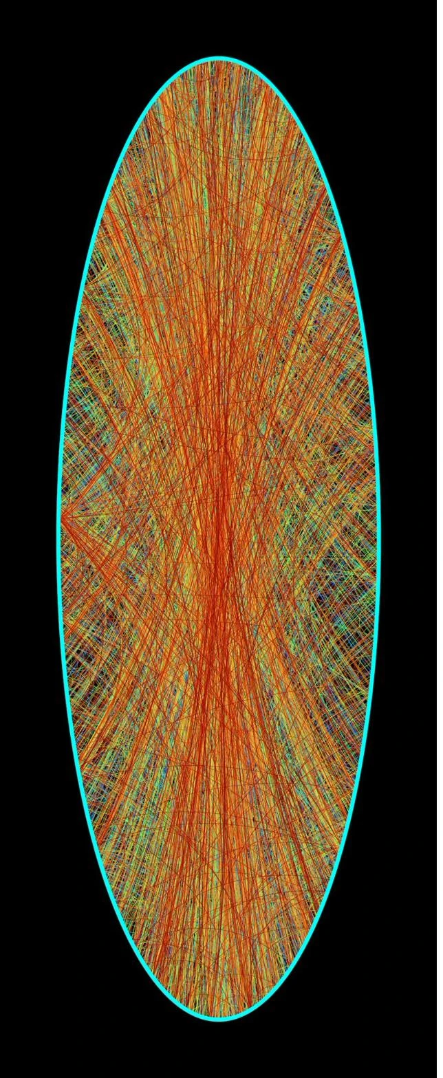 Elon Musk Twitter consciousness signature